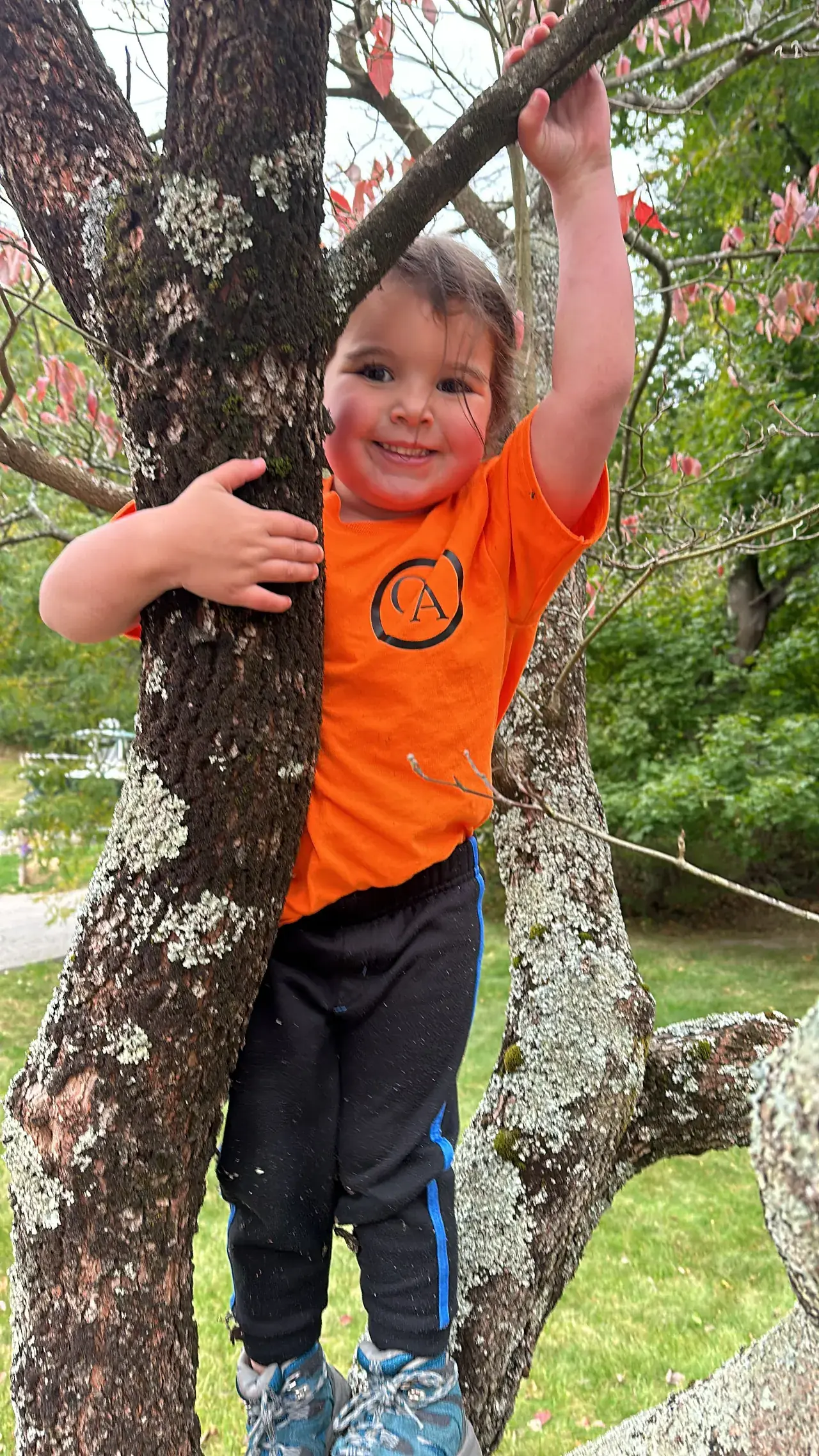 Another child in a Geddis Arborists t-shirt climbing the same tree