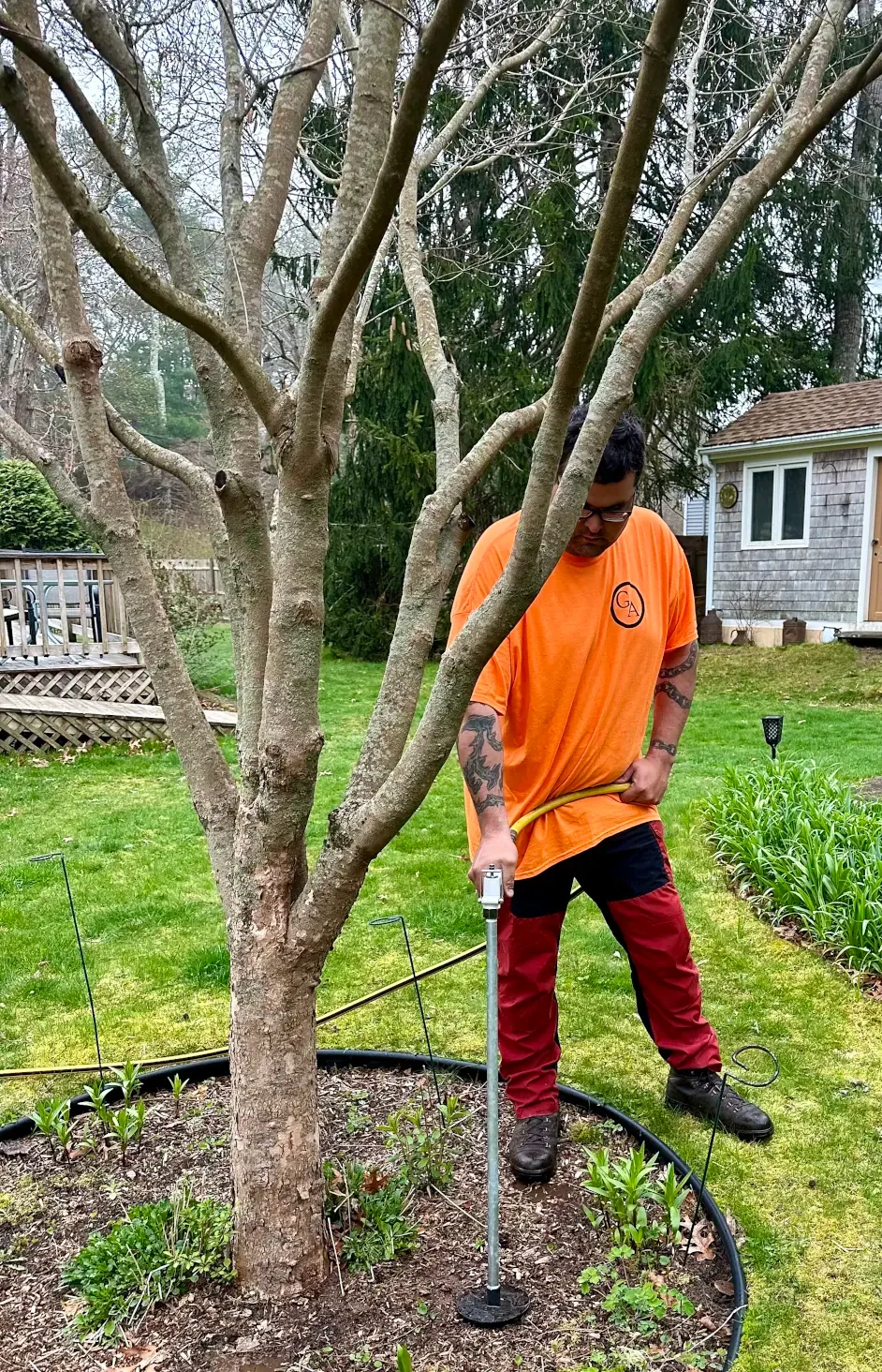 Geddis Arborists team member caring for soil around a residential tree